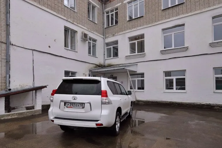 Далматово. Курган. Необр