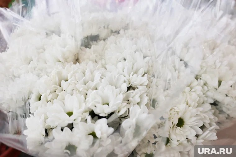 В 2025 году челябинцы предпочитают букеты из хризантем 