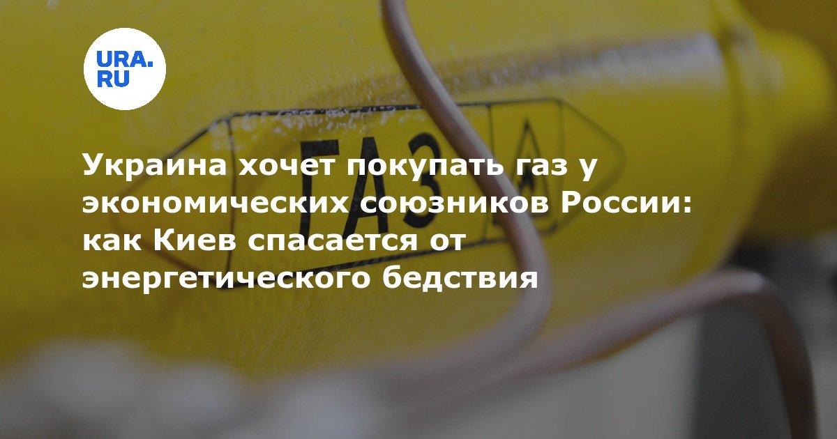Украина хочет покупать газ у экономических союзников России: как Киев спасается от энергетического бедствия