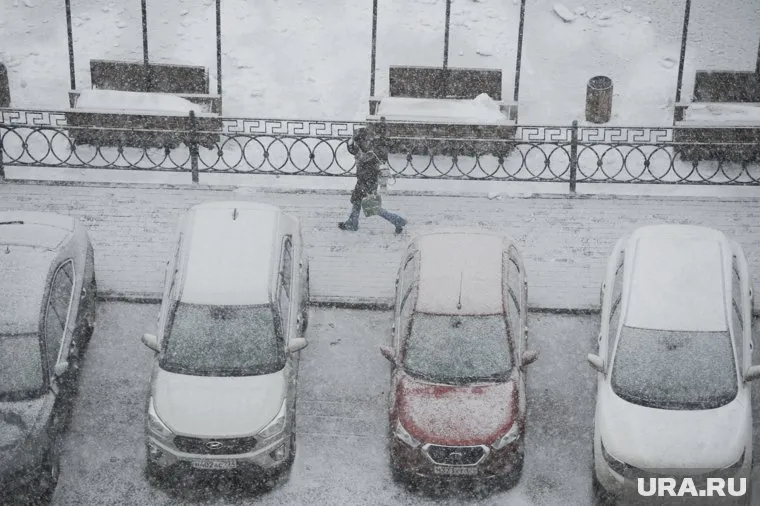 Из-за снежного бурана видимость на дорогах почти нулевая