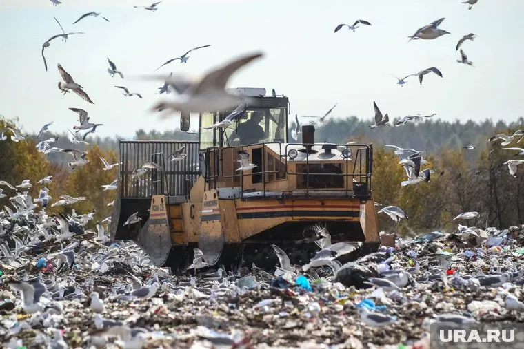 Первый этап работ по строительству экотехнопарка завершатся в середине июня