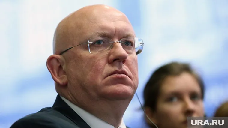 Небензя назвал пропагандой заявления, что людей заставляли голосовать на референдумах