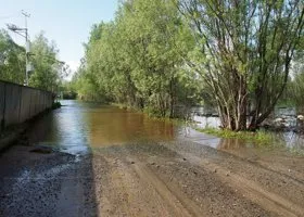 Фотография из галереи