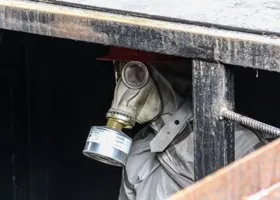 Фотография из галереи