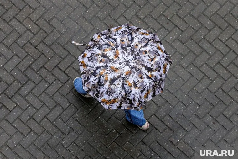 Выходные в регионе пройдут без дождей