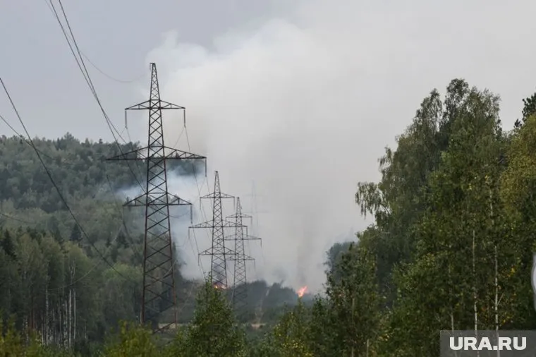 Природный пожар у Волчихи разгорелся 24 августа