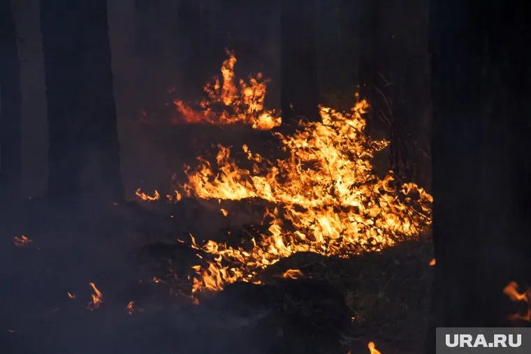 Причиной возгорания могли стать действия туристов