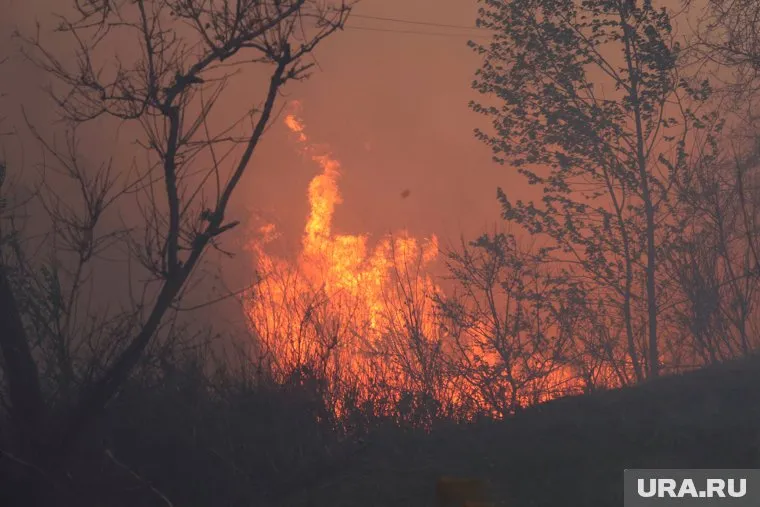 Курганские полицейские ищут виновных в пожарах