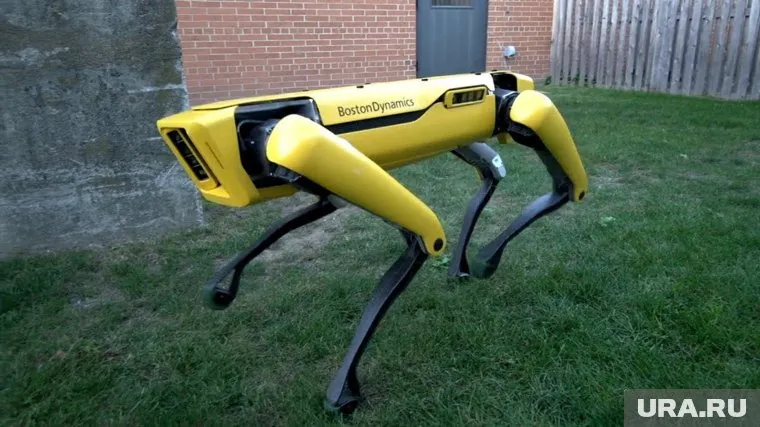 SpotMini пока выполняет только миролюбивые задания