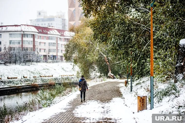 Синоптики предсказывают аномально теплую зиму и начало весны