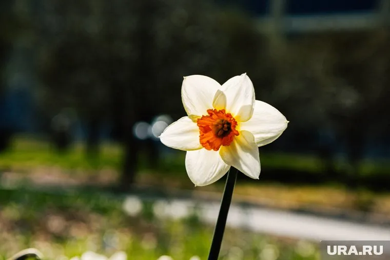 Пермяков заверили, что ждать осталось недолго