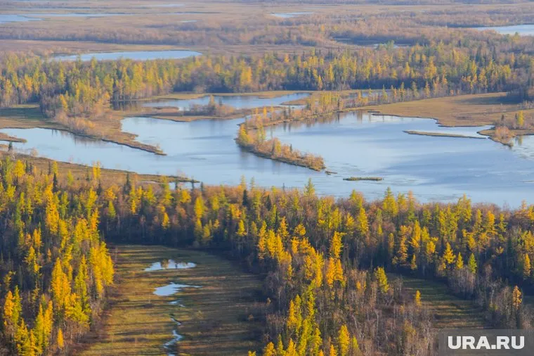 Исследования проводились на арктических озерах
