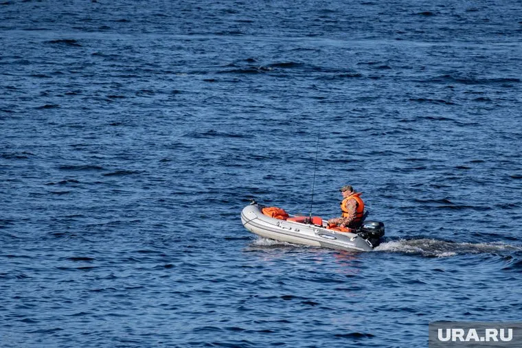 Пичугины выпустили более десяти ракет в небо
