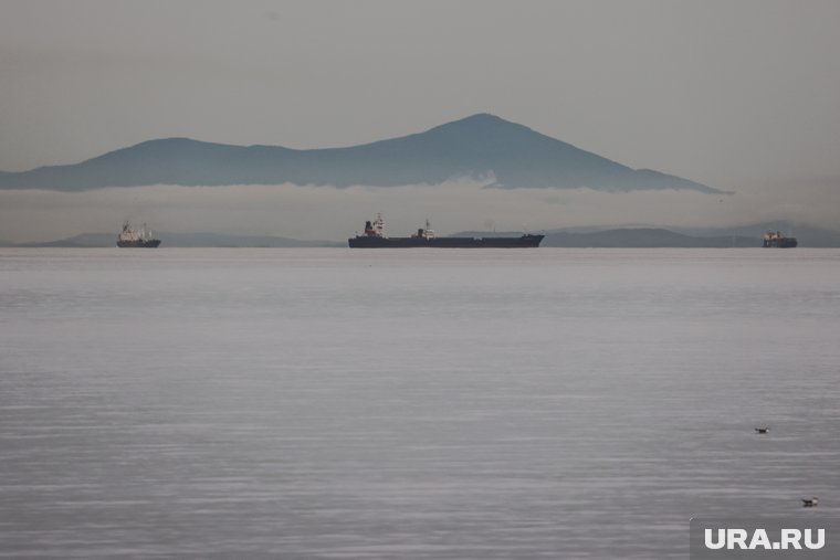 Исследователи рассказали, чем грозит извержение вулкана Крашенинникова