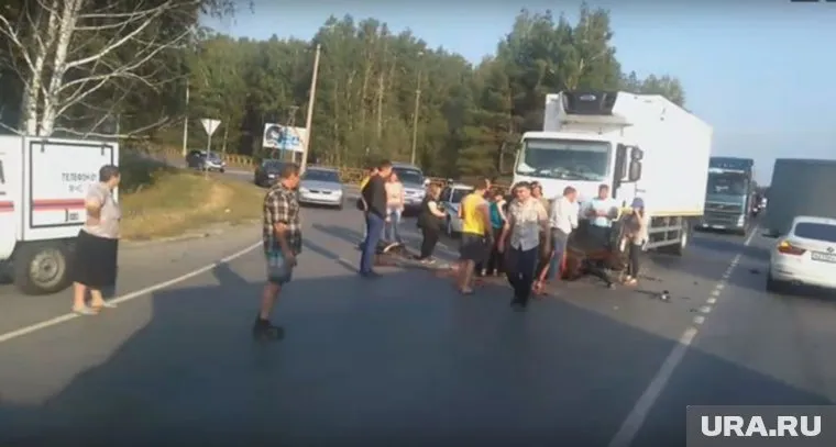 Лошадь при ДТП не выжила