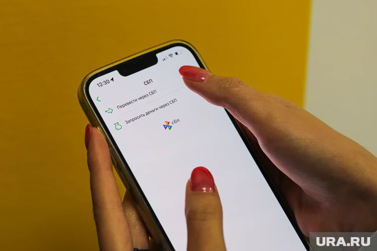 Сэкономить с помощью оплаты через СБП можно до конца года 