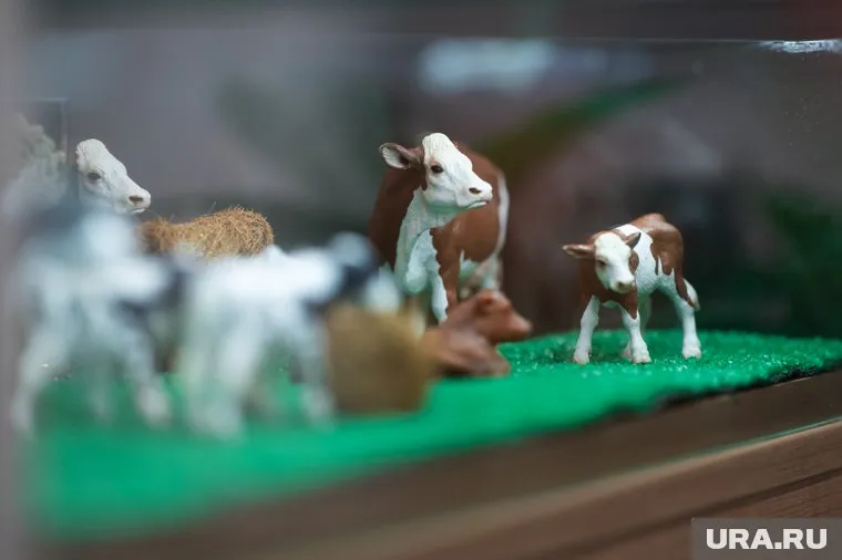 В Курганской области недостроенный коттедж меняют на коров