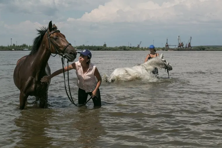 У реки Иртыш, Тобольск, Иртыш, купание коней, конь, река, вода