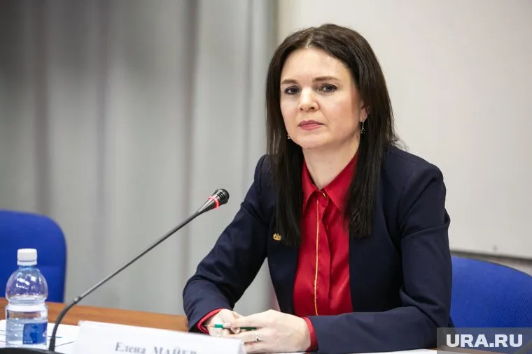 Сеть будет курироваться департаментом культуры и ТМПО