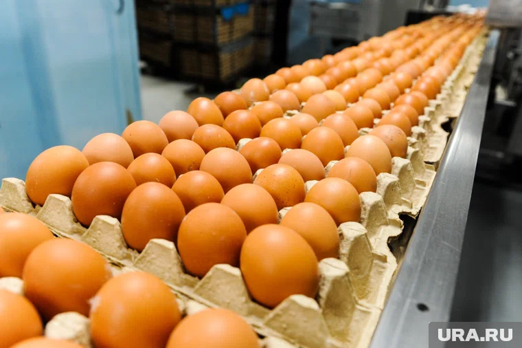 Снижение цен на яйца стало возможным благодаря госрегулированию 