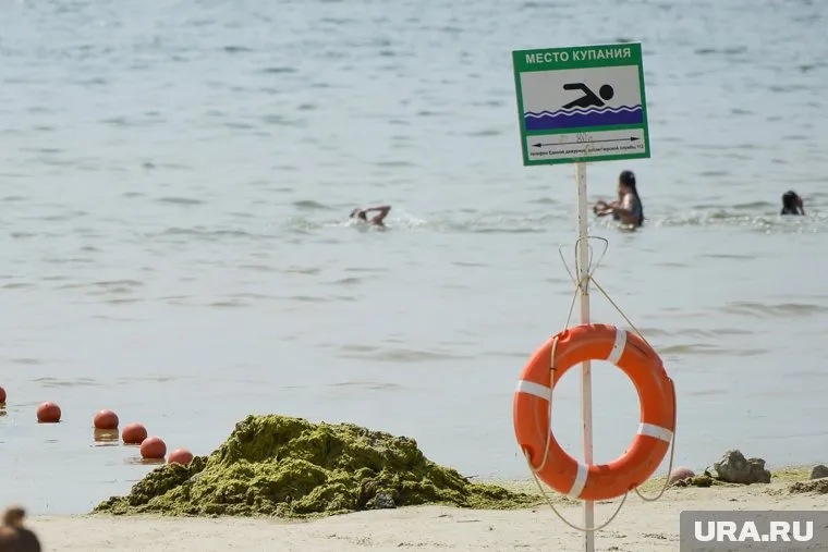 С пляжа мужчина отправился в отдел полиции