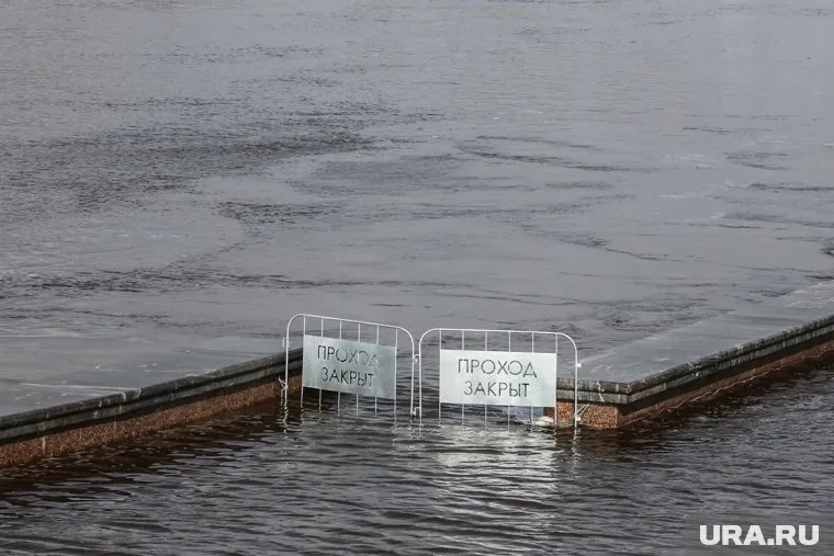 Уровень воды в тюменских реках продолжает расти