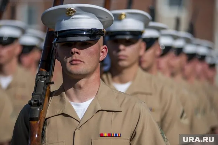 Украинским военнослужащим присвоят новые ранги по образцу НАТО