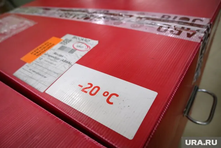 Холодильный комплекс используется только на 2%