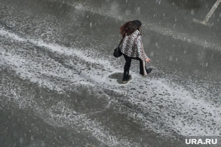 Выступление Путина на ПМЭФ стало главным событием третьего дня форума