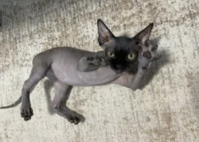 Фотография из галереи