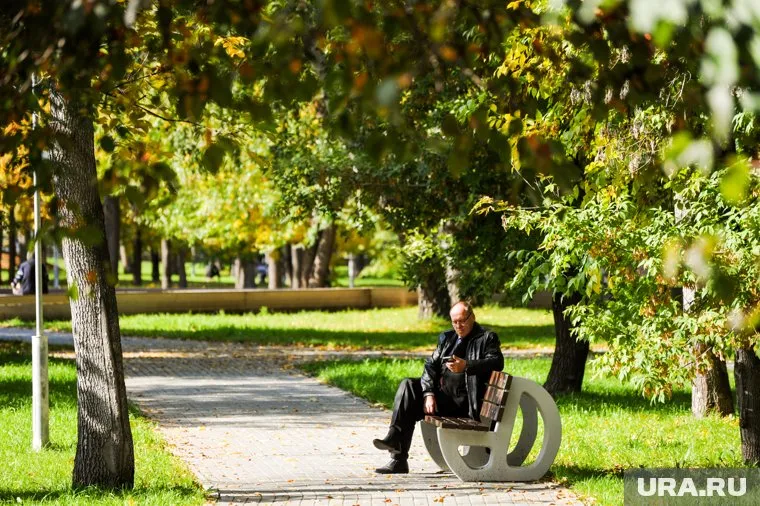 В регионе температура воздуха днем 23 и 24 сентября составит 23 градуса