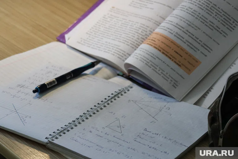 Ранее жители пожаловались Екатерине Мизулиной на систему средневзвешенных оценок