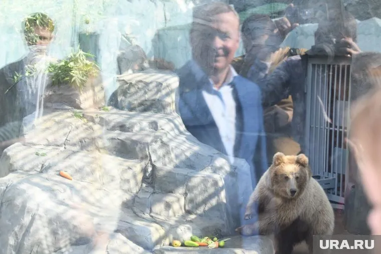 Медведей привезли из Казахстана