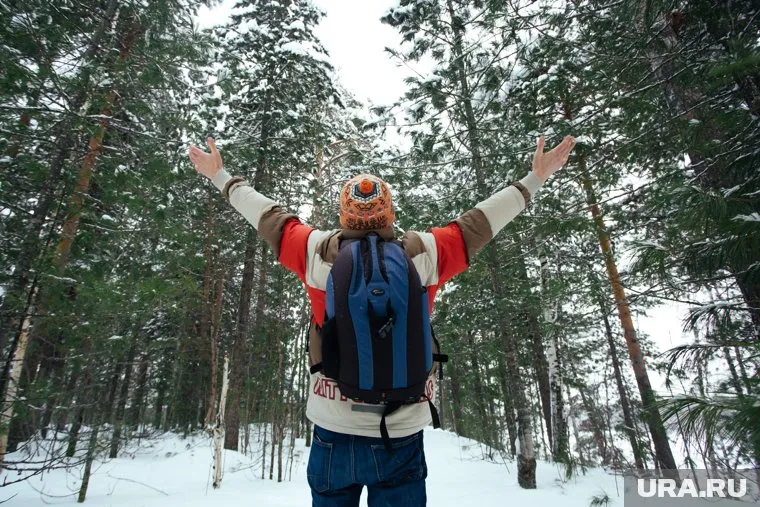 Пермяки защищают сосновый бор в черте города (архивное фото)