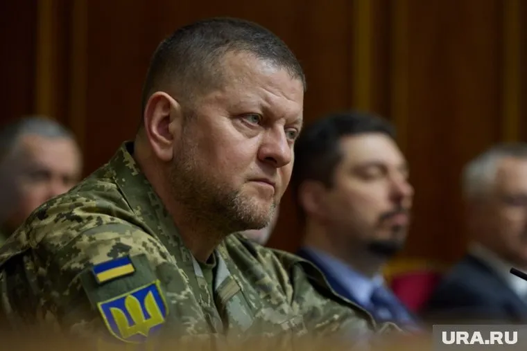 Валерий Залужный был окончательно уволен с военной службы