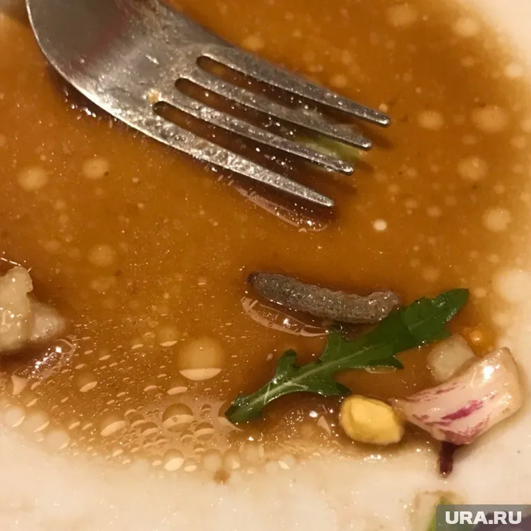 Пугающую находку посетительница обнаружила, когда почти доела салат