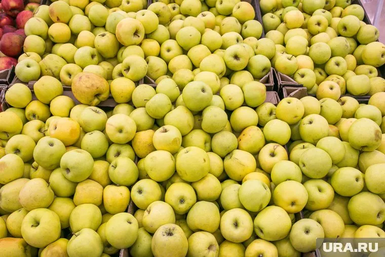 В Каслинском районе форму яблок изменят на квадратную