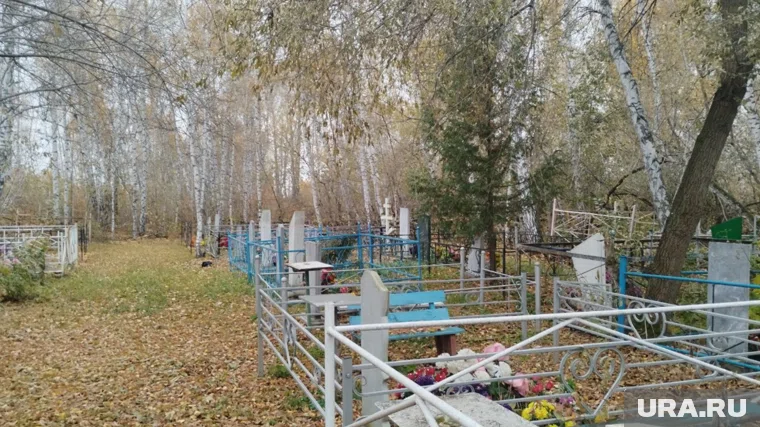 Кладбище находится на землях лесного фонда