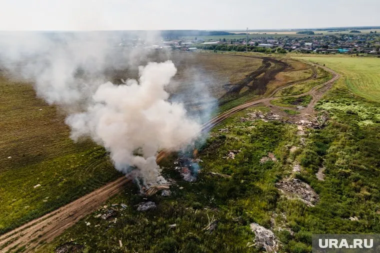 Премьер-министр, вице-премьер и мэр Москвы отправятся в регионы, где сейчас горят леса