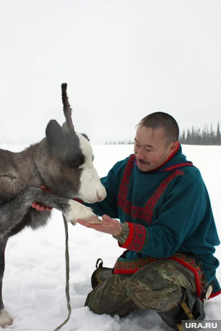 Герман Сандрин стал седьмым претендентом на мандат