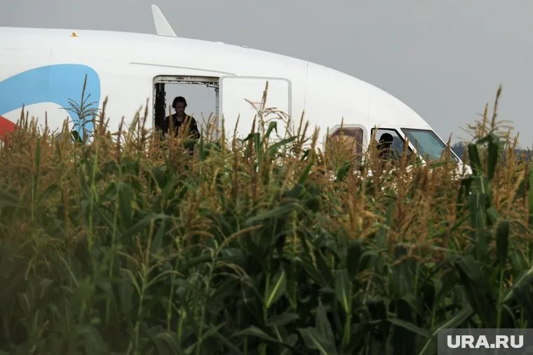 Пилотов, посадивших самолет на кукурузное поле, во всем мире считают героями