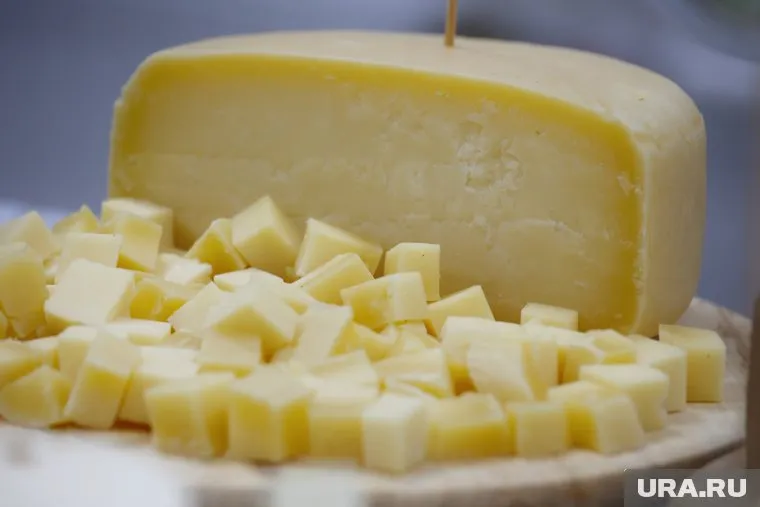 В Россию запретили ввоз сыра и других молочных продуктов из Азербайджана