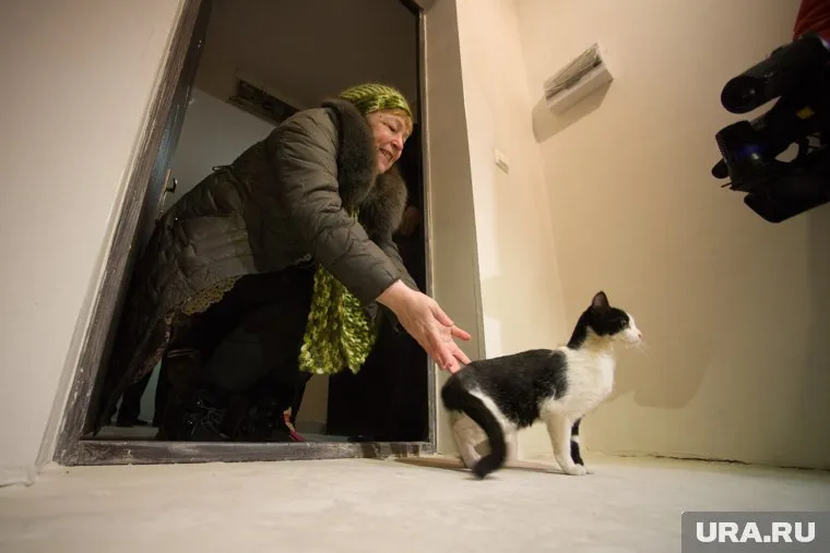 Получателей жилья за счет федерального бюджета пересчитают