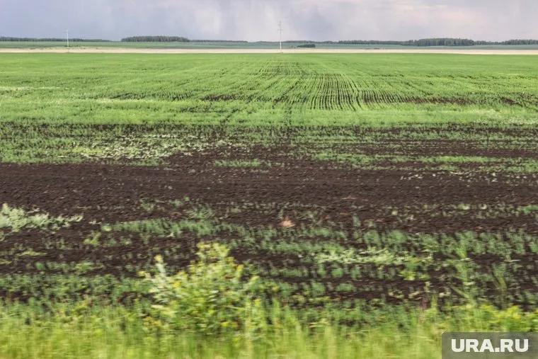 У курганцев за год забрали больше 80 сельскохозяйственных земель