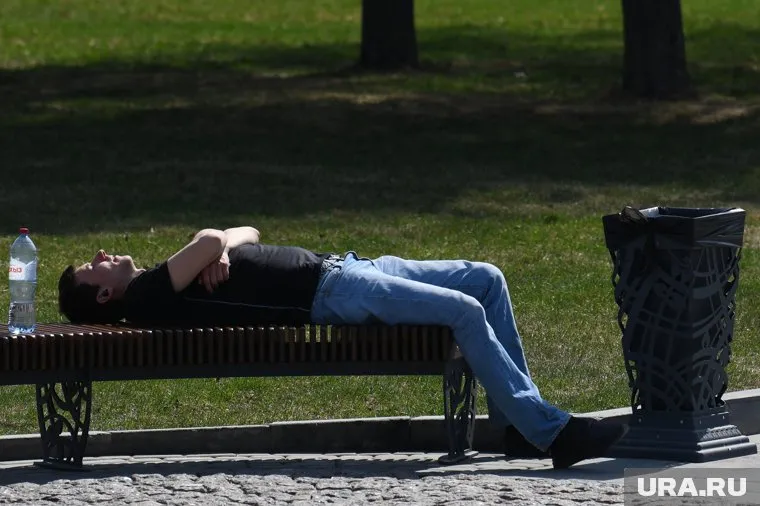 Август в ЯНАО будет теплее, чем обычно (архивное фото)