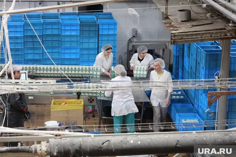 Агропредприятие Чернушинского округа получит дополнительную поддержку для развития