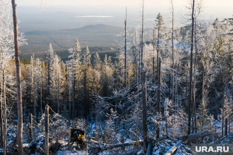 Часть средств направят на авиационное тушение пожаров