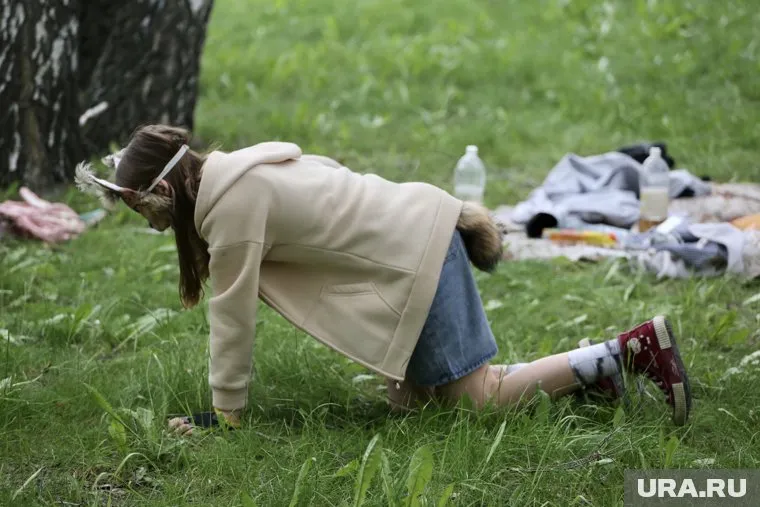 В Совфеде поддержали введение наказания для родителей детей-квадроберов