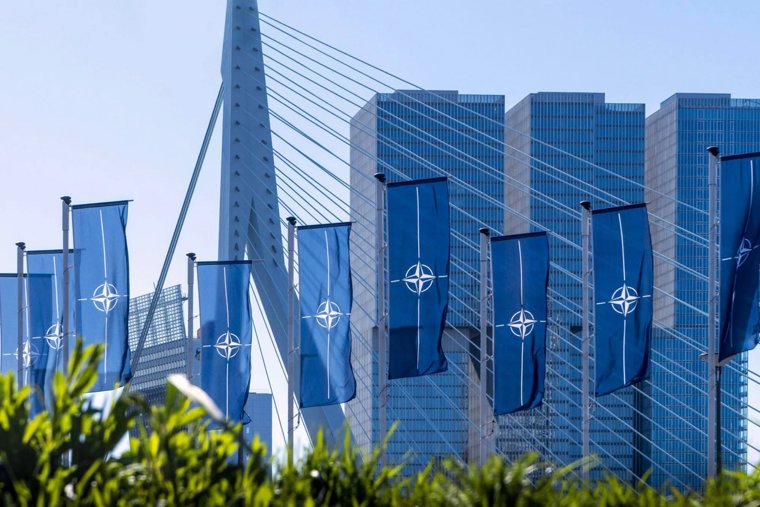 WSJ: США требуют от Киева отказаться от вступления в НАТО на несколько лет