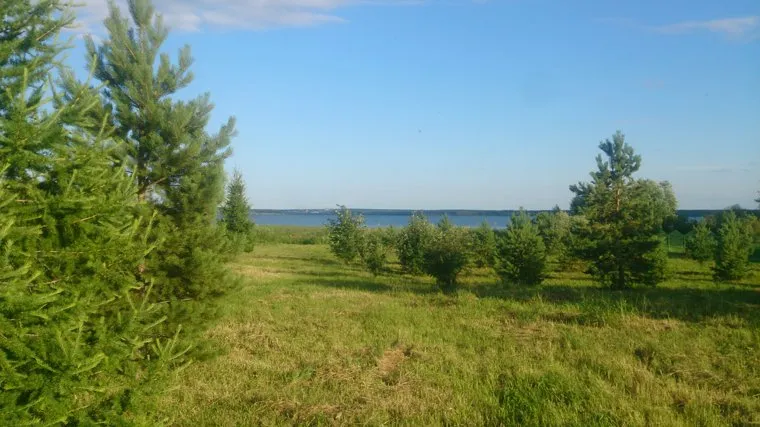 Коттедж и земельный участок председателя Общественной палаты ЧО Вячеслава Скворцова. Челябинск